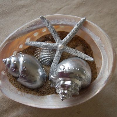 Silver Sea Shells