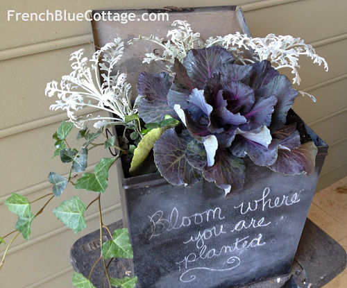 Winter Porch Decorating