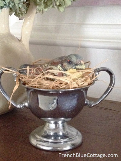 bird in silver cup_opt