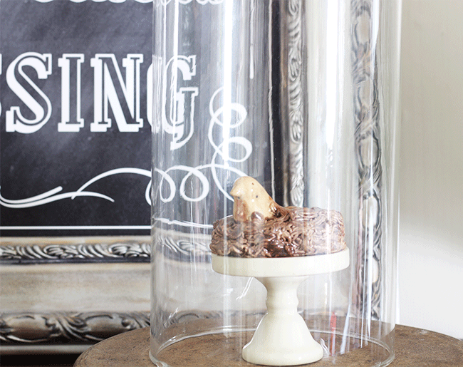 7 Ways to Use a Cloche