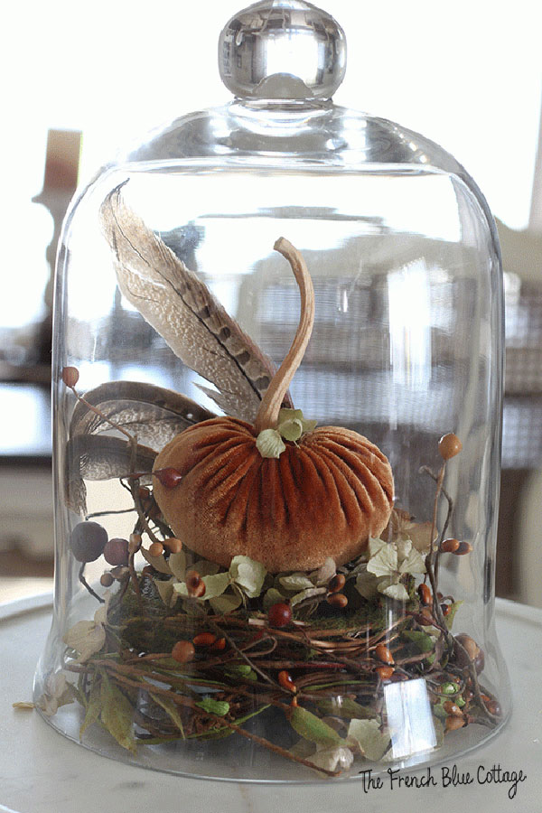 orange velvet pumpkin with feathers behind it sitting on a nest and under a glass cloche