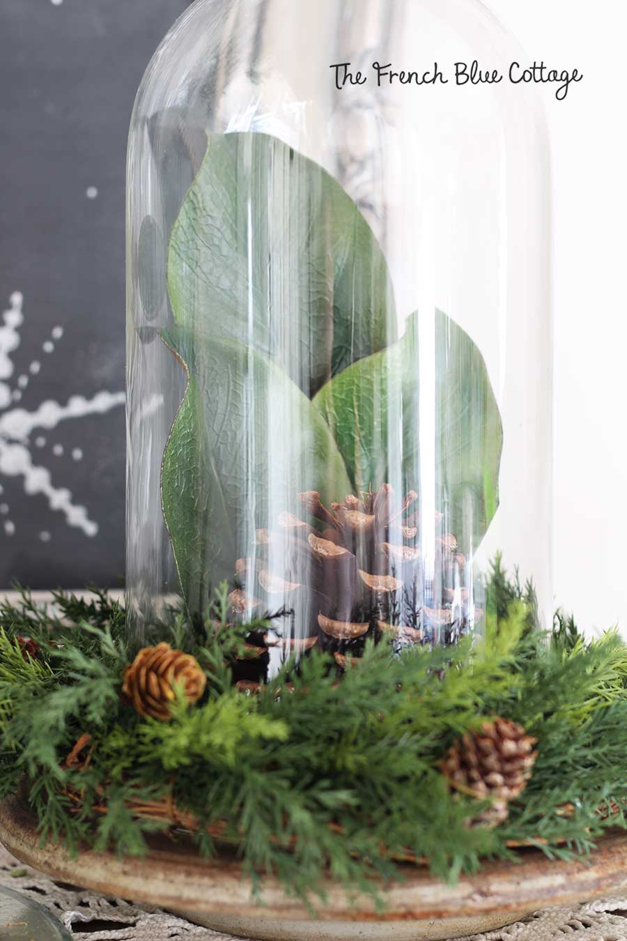 Magnolia leaves under a cloche and with an evergreen wreath.