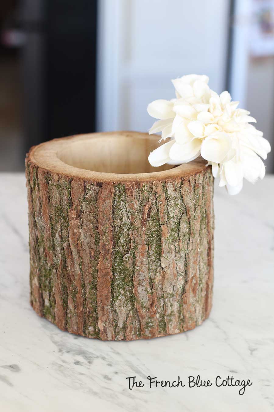Winter ivory flower in log vase.