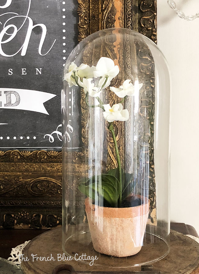 A small, faux orchid under a cloche.
