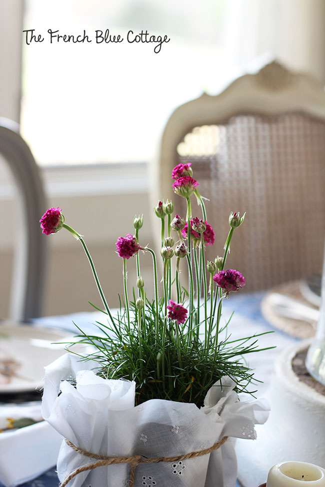 Potted flowers wrapped in fabric.