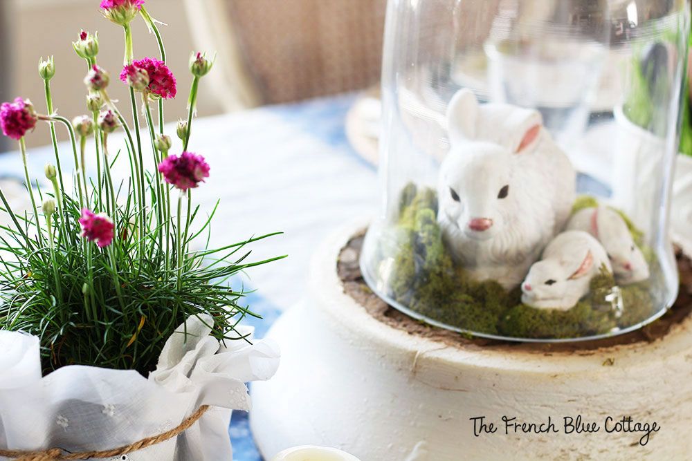 bunny under cloche