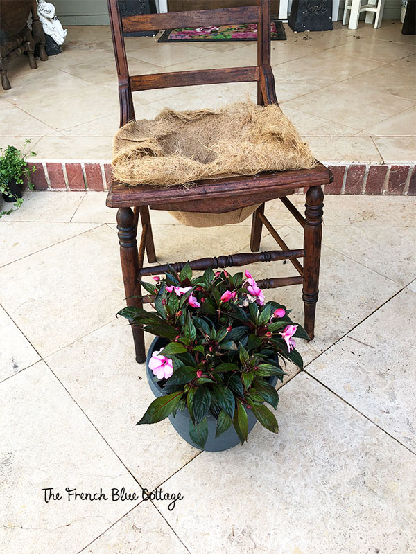 chair and potted plant