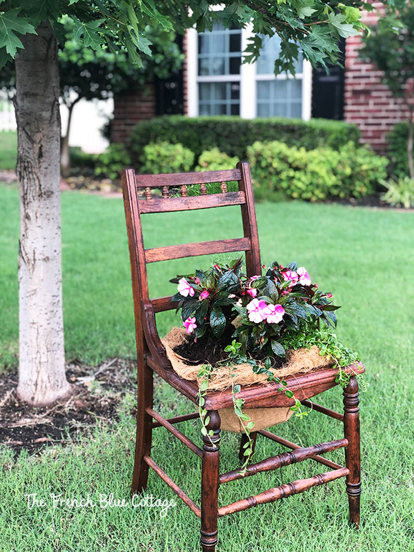 wood chair with flowers planted in seat