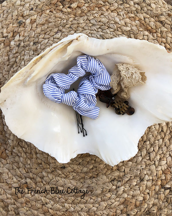 clam shell holding hair clips