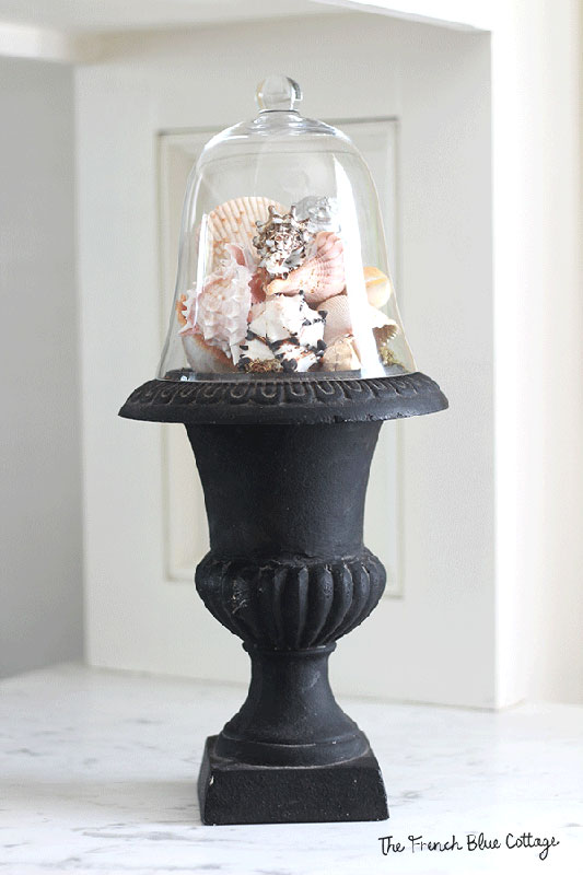 seashells under cloche on urn