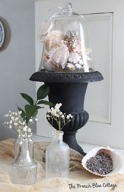 seashells in urn in a vignette