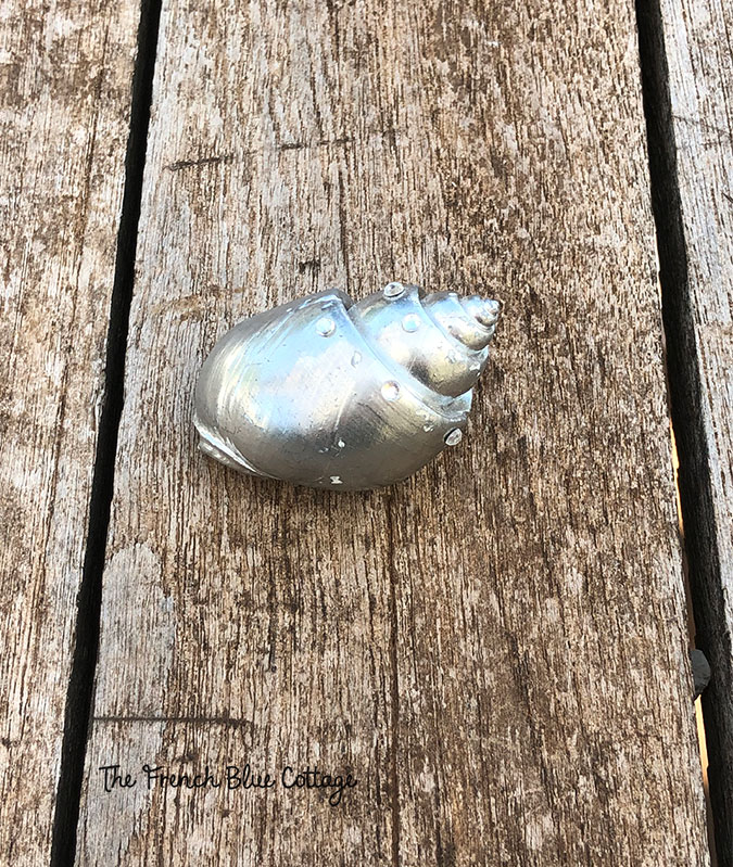 silver painted seashell with crystals