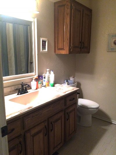 brown bathroom before remodel